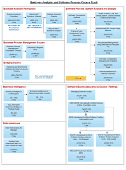 Business Analysis, Business Intelligence, and Business Process Management Training