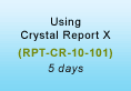 Using Crystal Report 10 Training