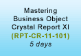 Mastering Business Object Crystal Report 11 Training