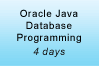 Oracle Java Database Programming Training
