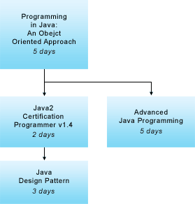Mastering Java Language Course Track