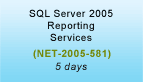SQL Server 2005 Reporting Services Training