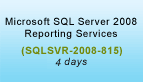 Microsoft SQL Server 2008 Reporting Services Training