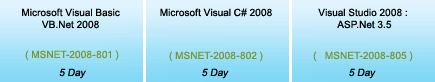 Mastering Visual Basic 2005 Edition Training