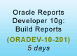Oracle 10 Build Reports Training