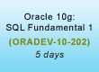 Oracle 10 SQL Fundamental 1 Training