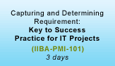 Capturing and Determining Requirement: Key to Success Practice for IT Projects