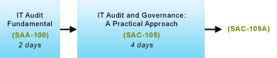Practical Approach of IT Audit and Governance Training