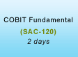 COBIT Fundamental Training
