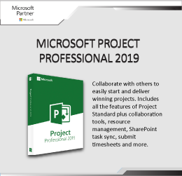 Microsoft Project 2010